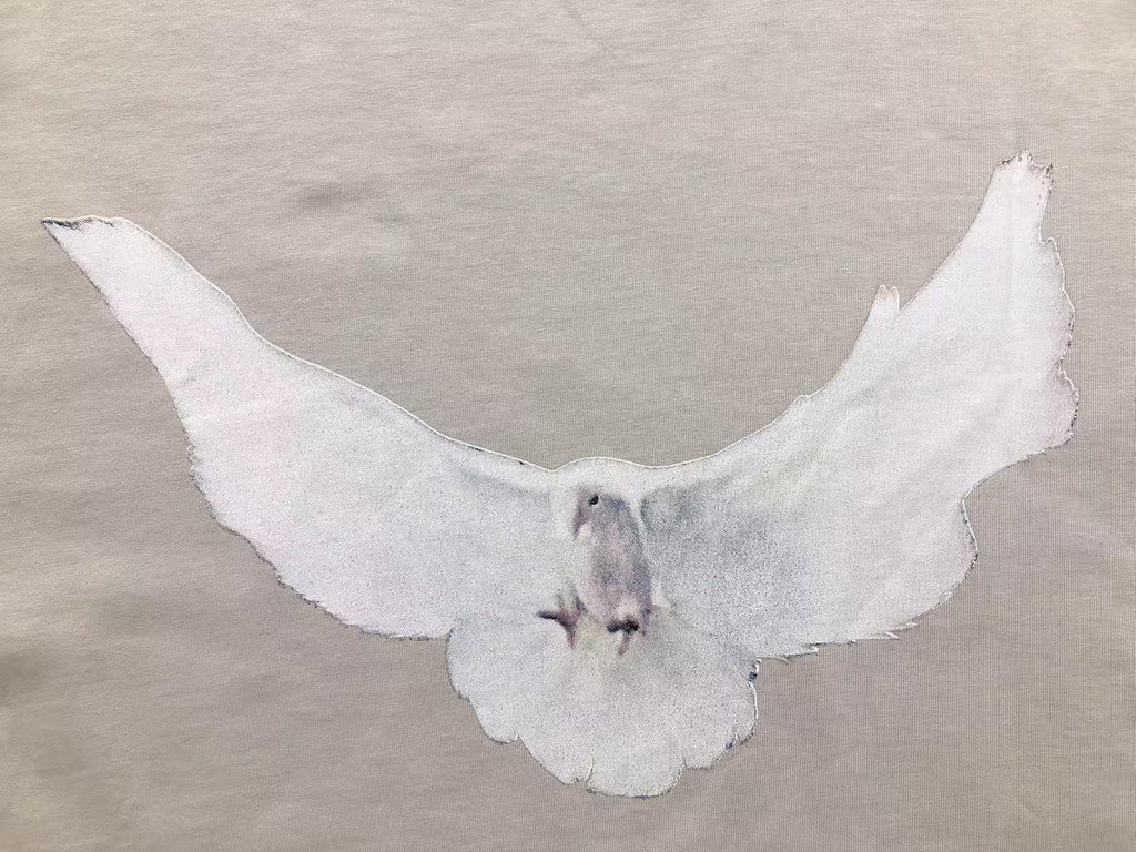 Camiseta Yeezy X GAP Dove