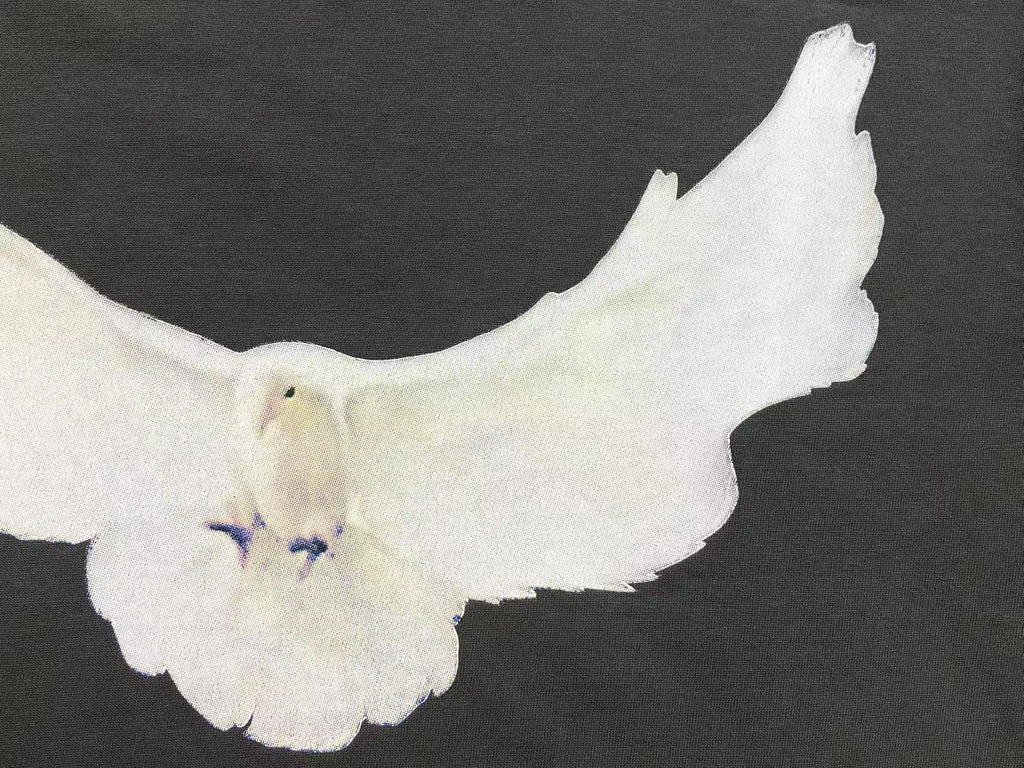 Camiseta Yeezy X GAP Dove