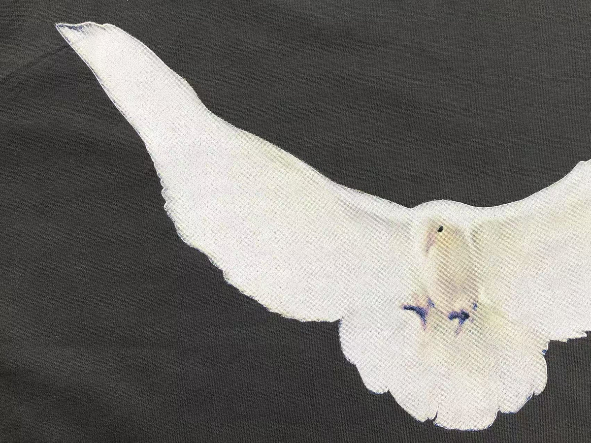 Camiseta Yeezy X GAP Dove