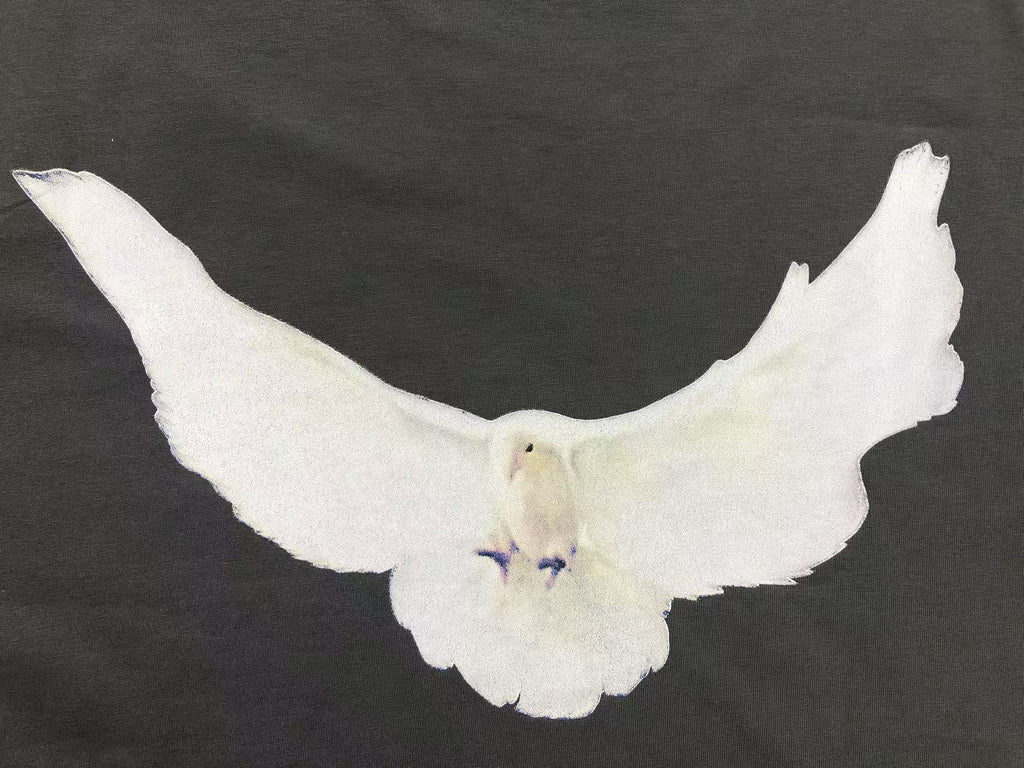 Camiseta Yeezy X GAP Dove